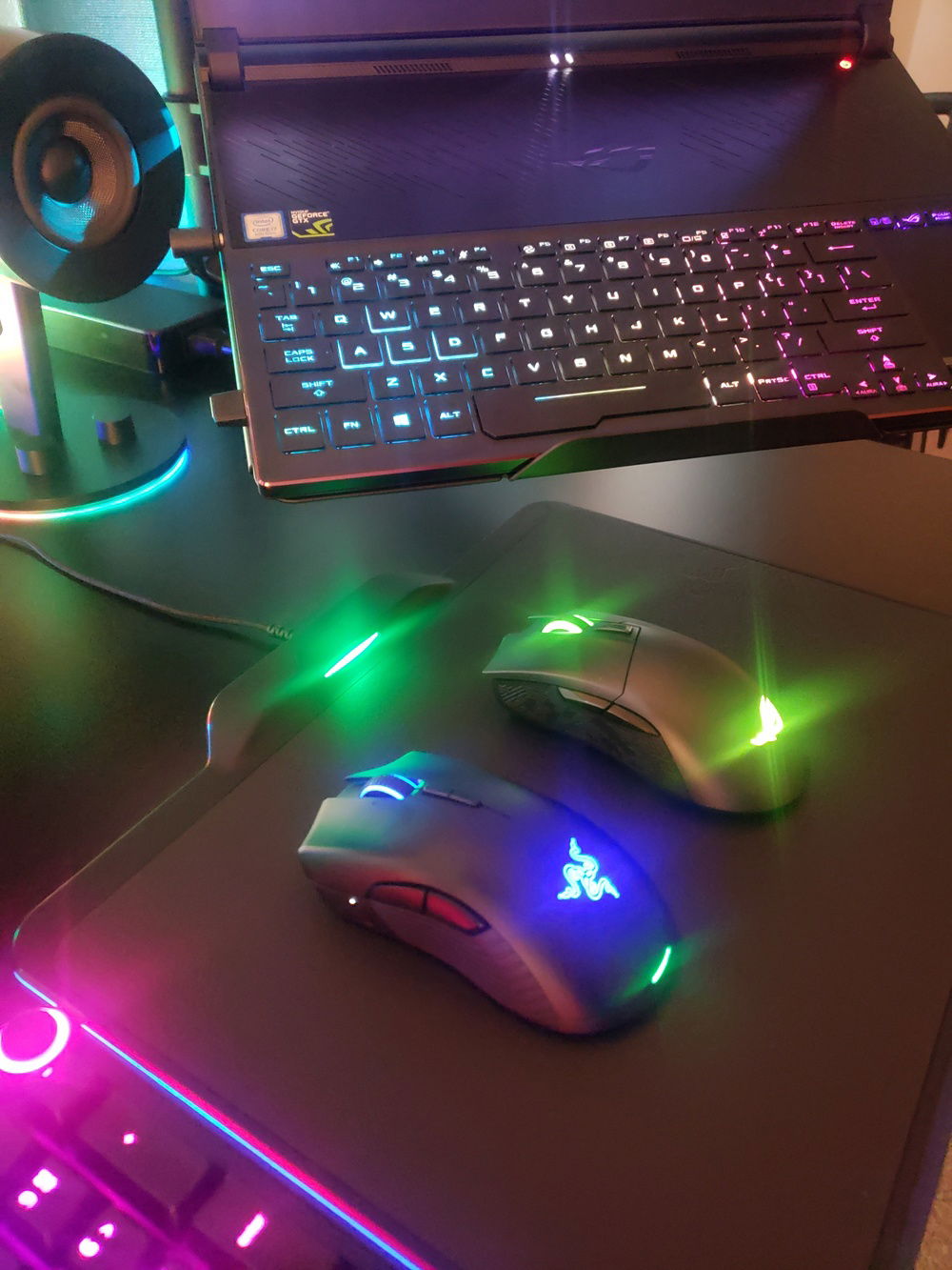 Desktop and laptop mice.