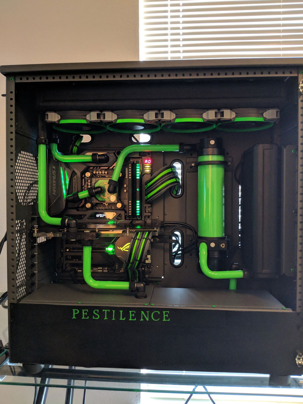Final product after 1 full month of starting