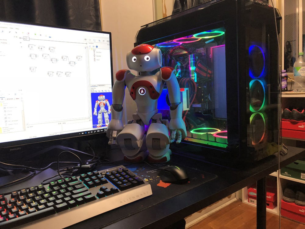 Programming the NAO Robot using Choregraphe
