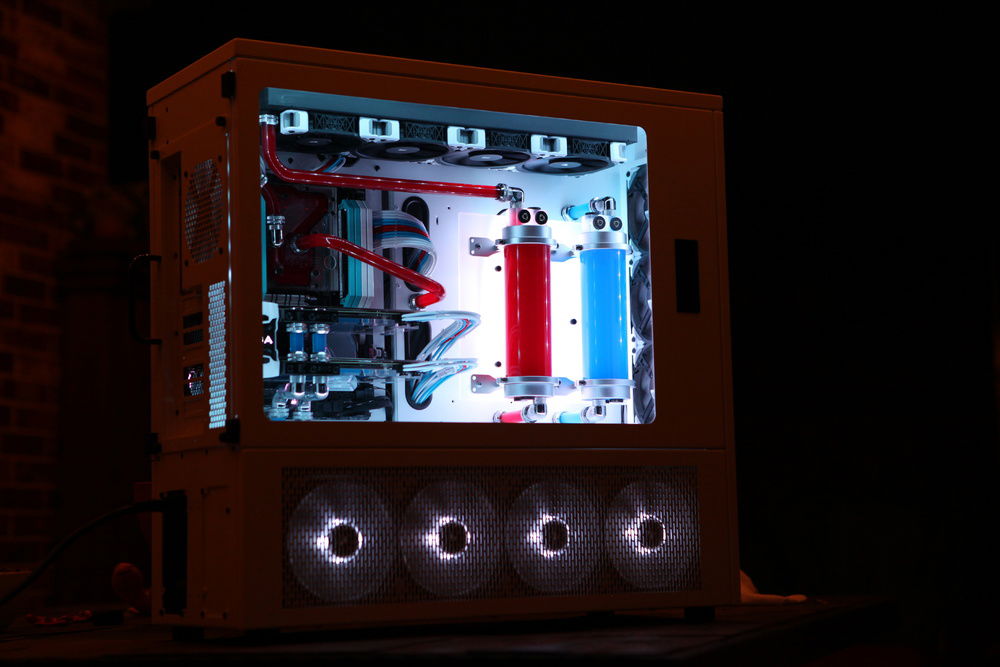 A sideways look of Martini outdoors. Looking gorgeous, as always!