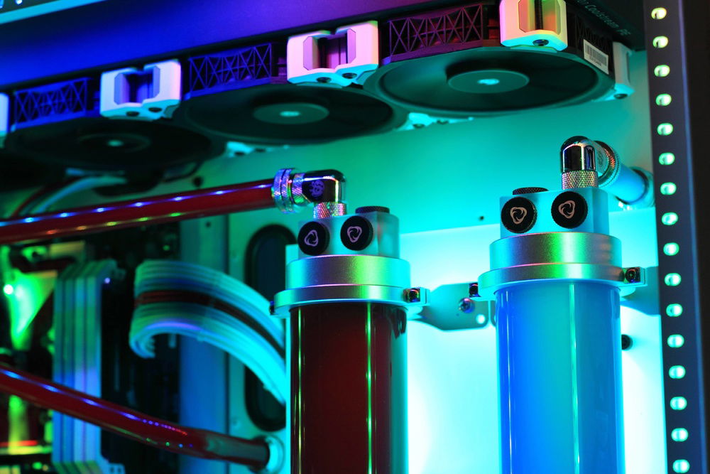 A personal favorite photo of Martini with the showcase mode off- and RGB dialed up to 11!