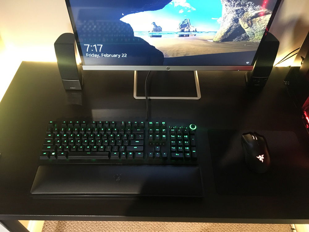 Keyboard, mouse, monitor, and speakers