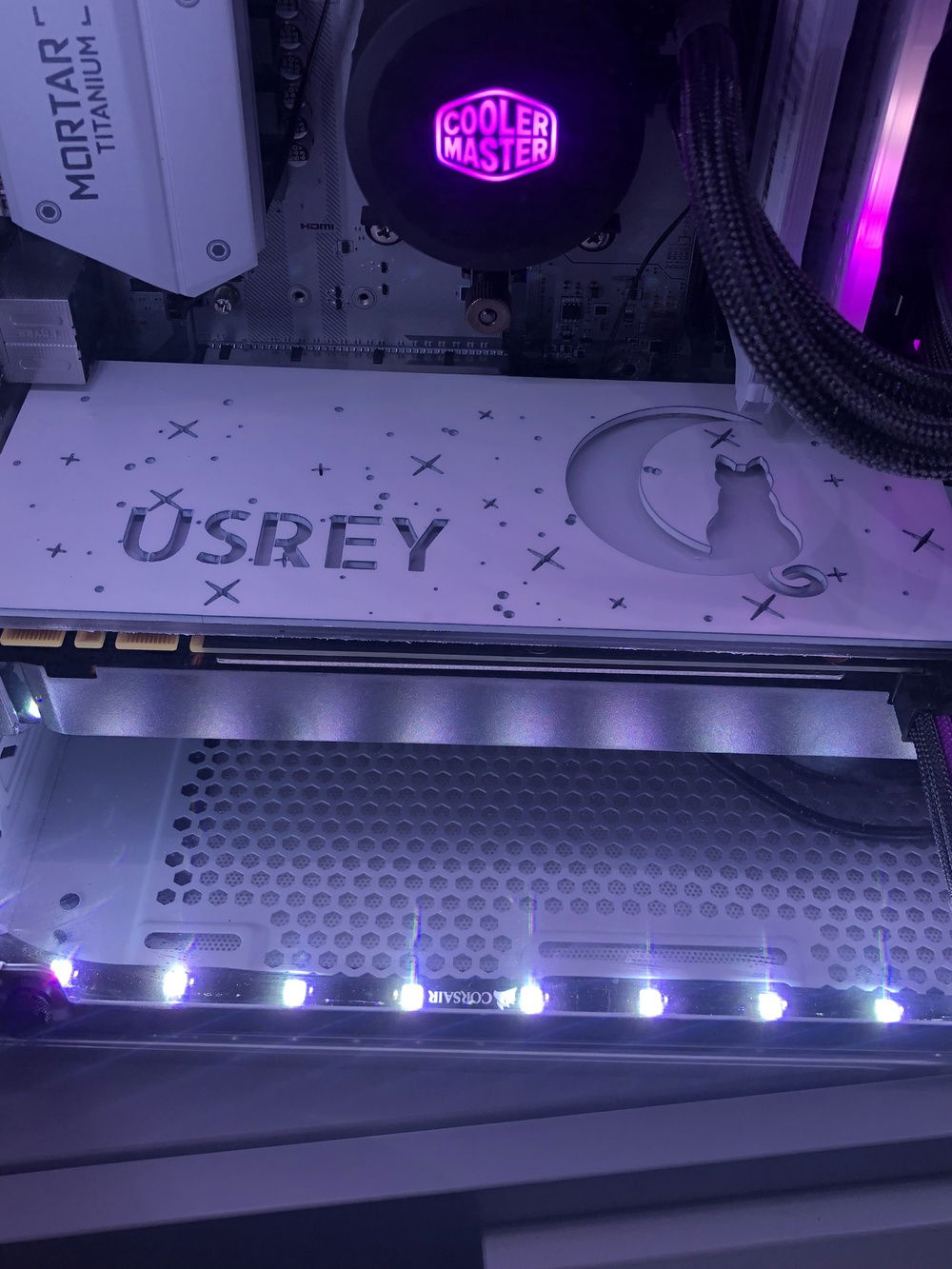 Close up shot of the custom graphics card backplate. We love our cats!