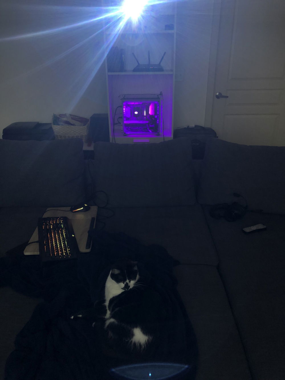 The cats love to game too! Here's the PC and home theater set up.