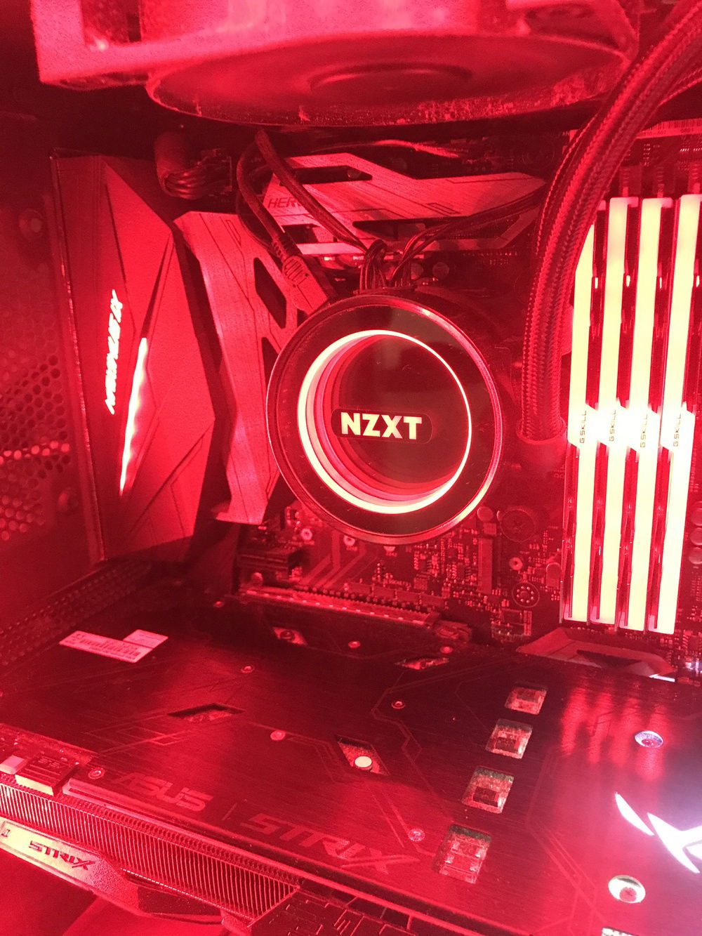 Highlighting the cooler