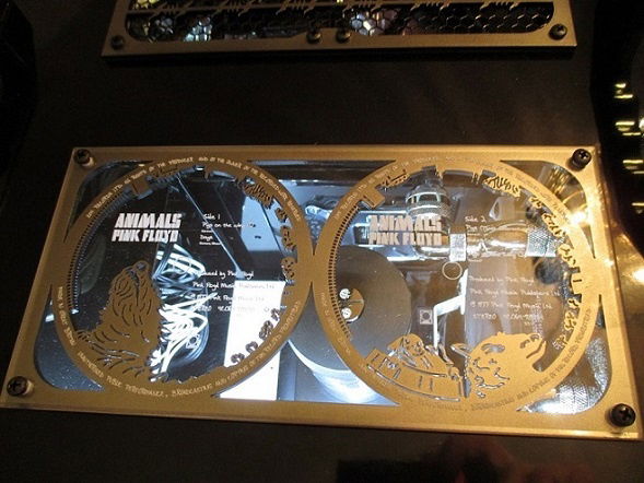 Labelfish with blue tint