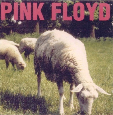 Pink Floyd Sheep