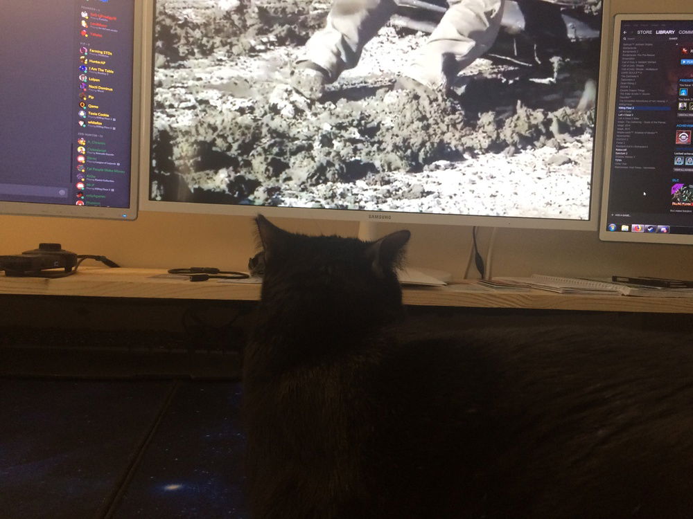 Kitty loves to watch YouTube with me