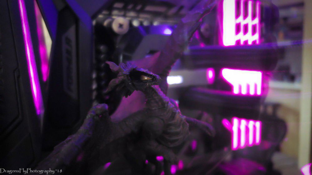 Monster Hunter Dragon in the case