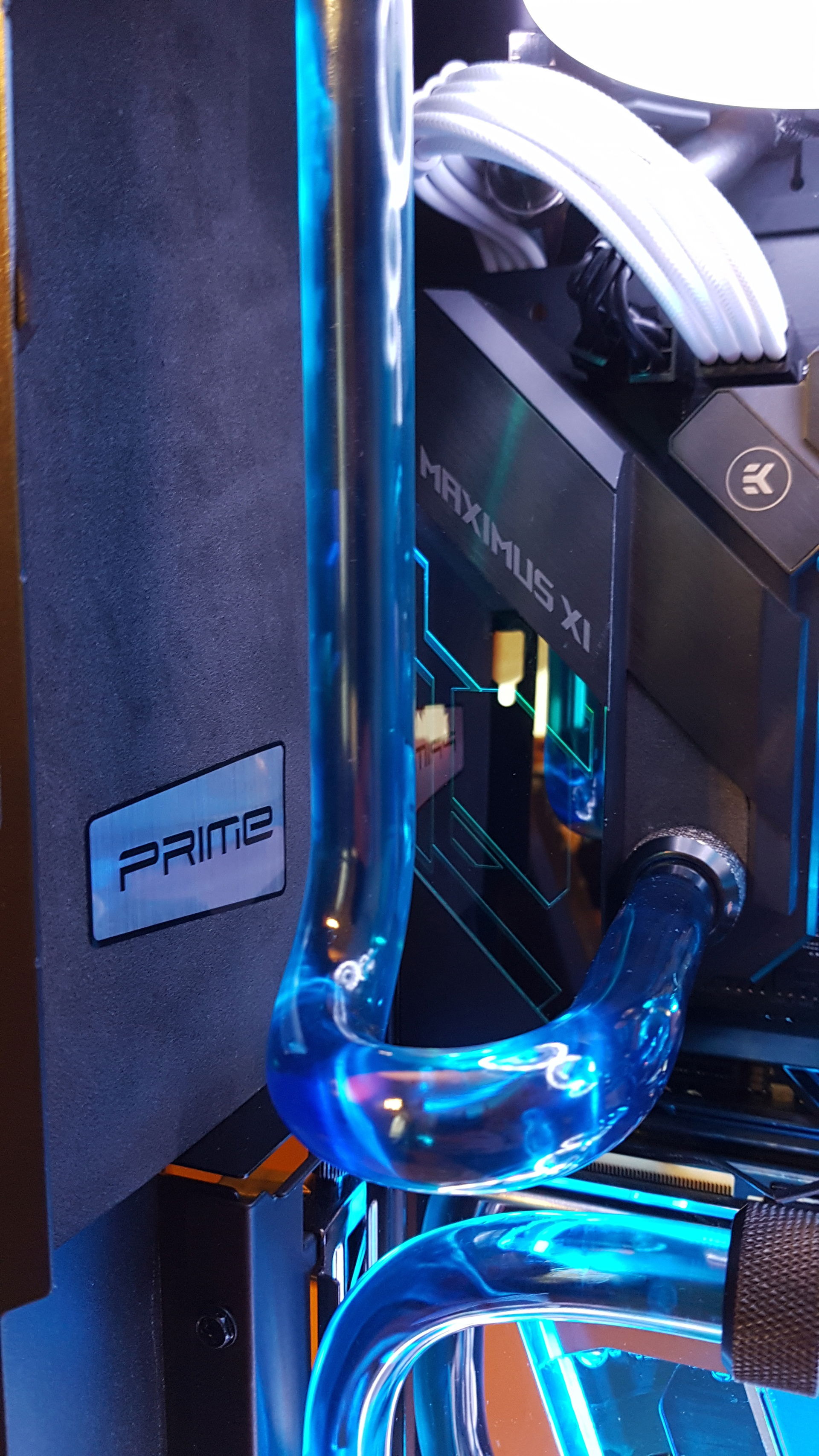 Rainbow Prime » builds.gg
