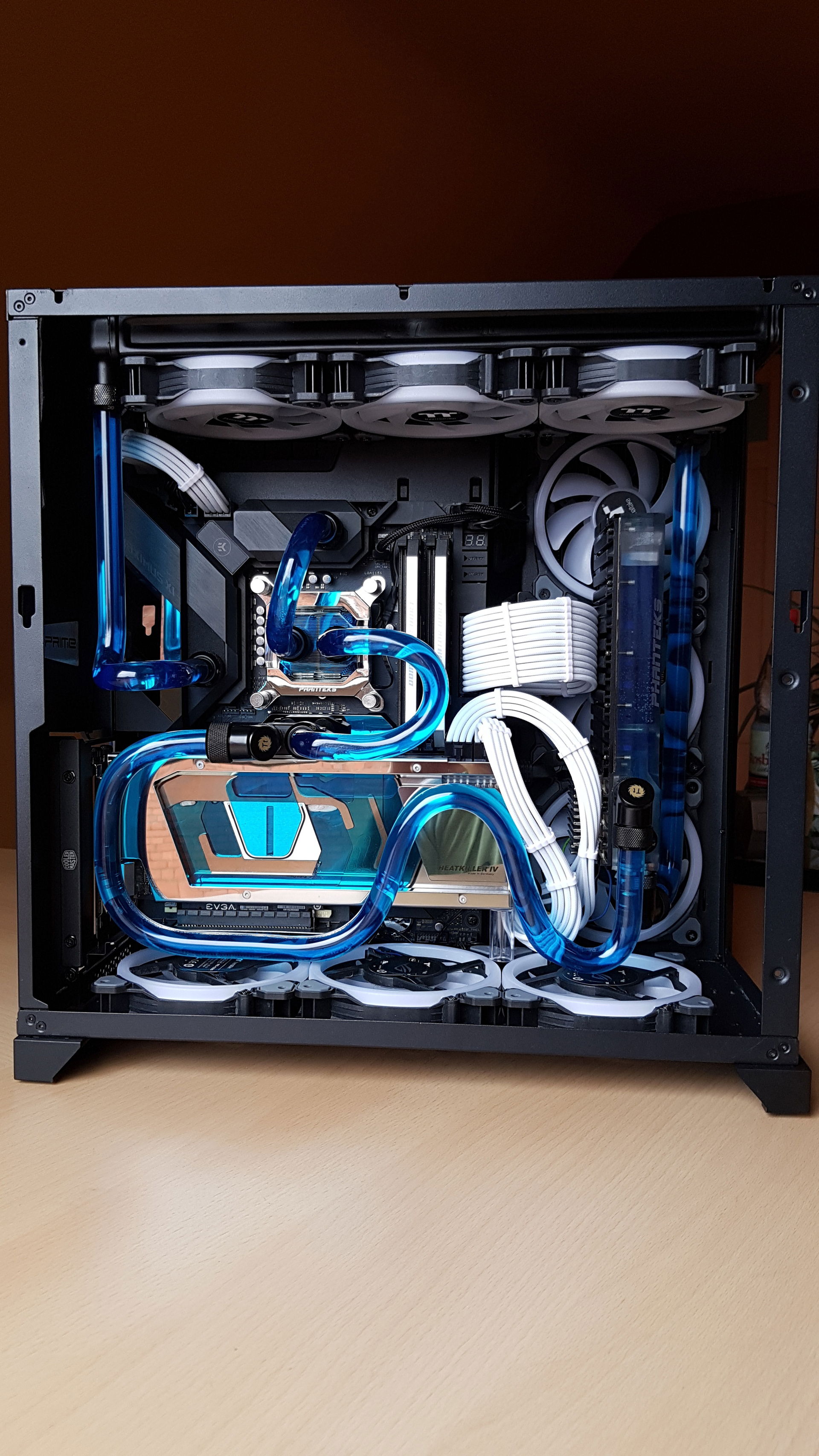 Rainbow Prime » builds.gg