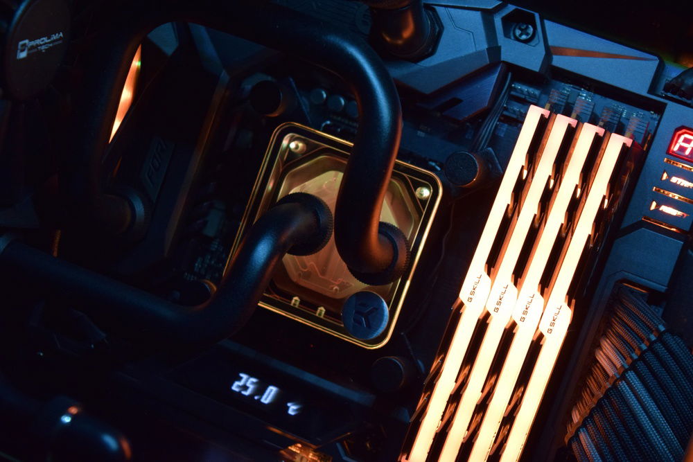 Black Tinted Supremacy EVO RGB