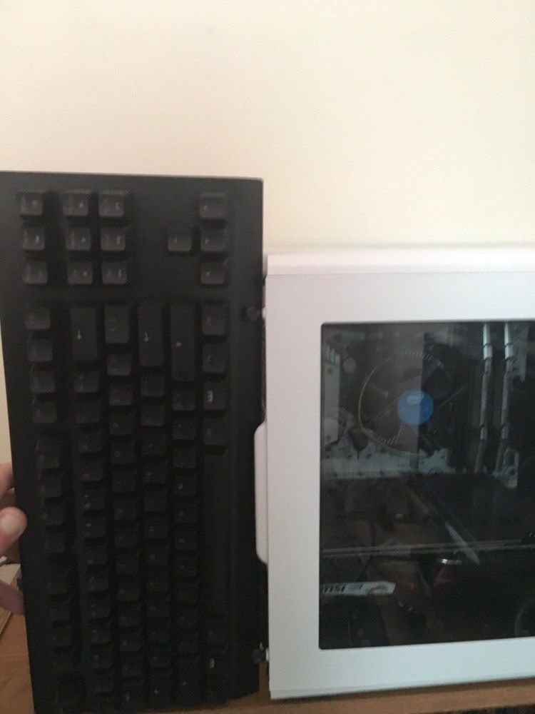 Wooting for Scale, standing.