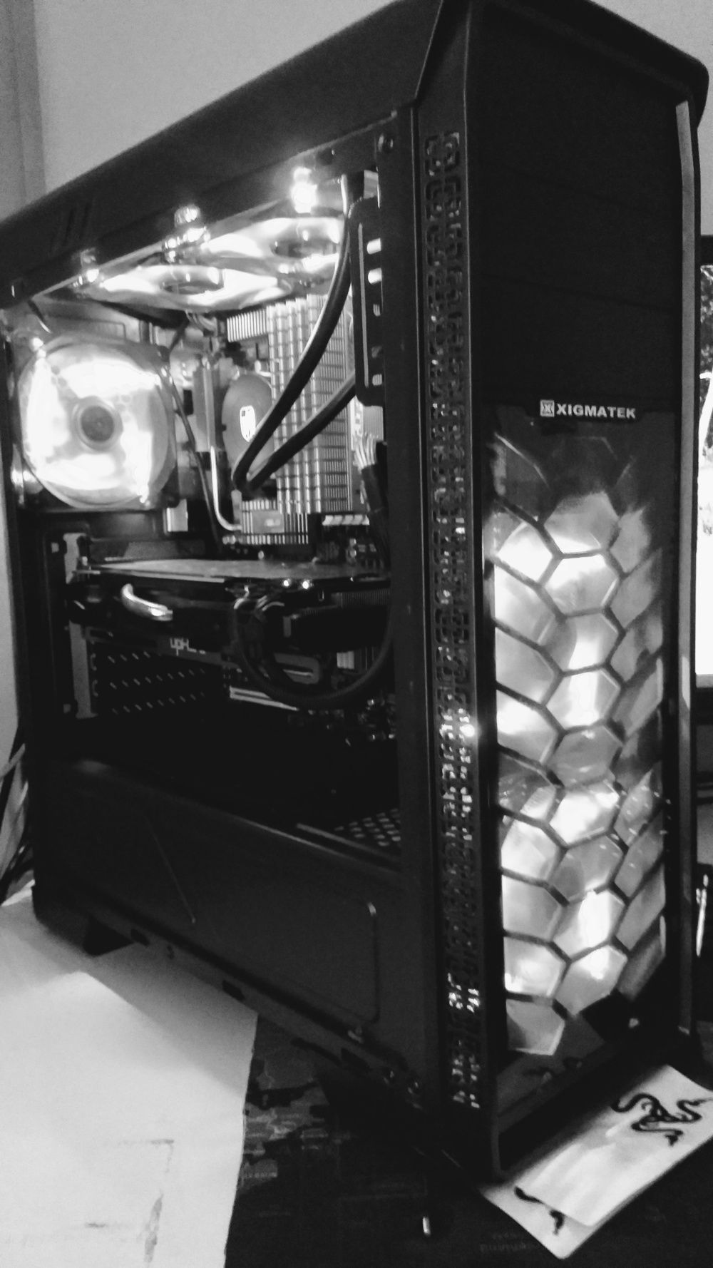 Rig in a black and white :D