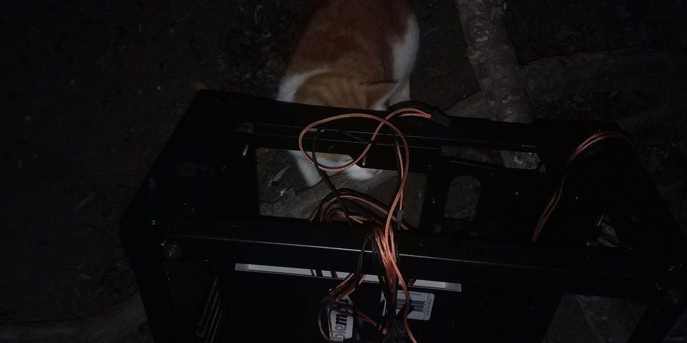 cablemod™ anaemic noodles with cat