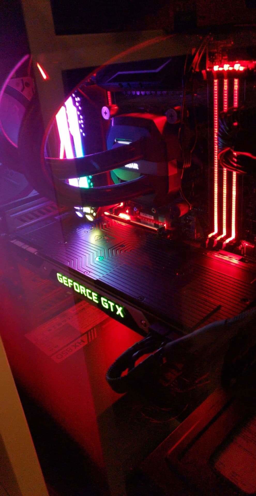 The only picture I took