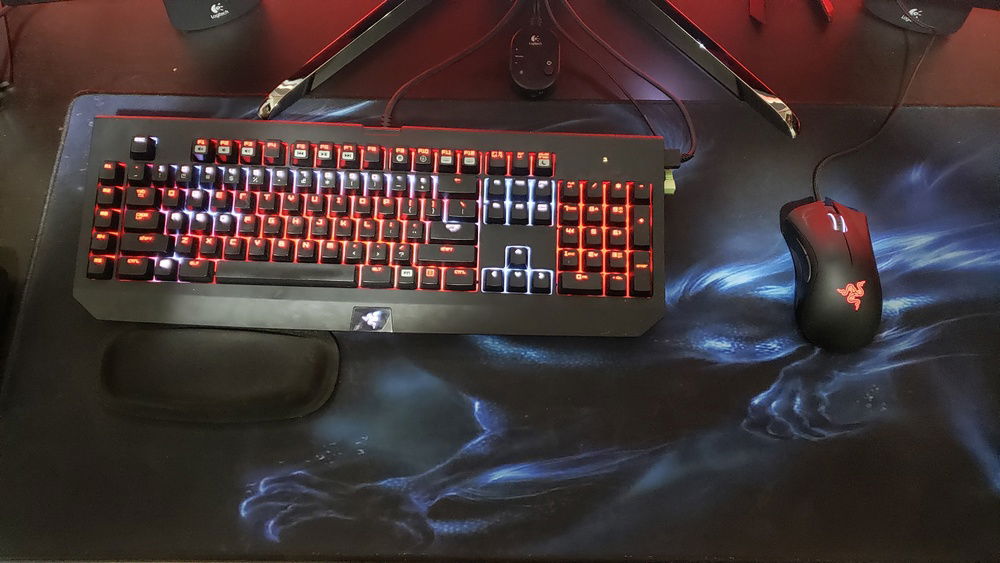 Old Razer peripherals: Deathadder and Blackwidow v1