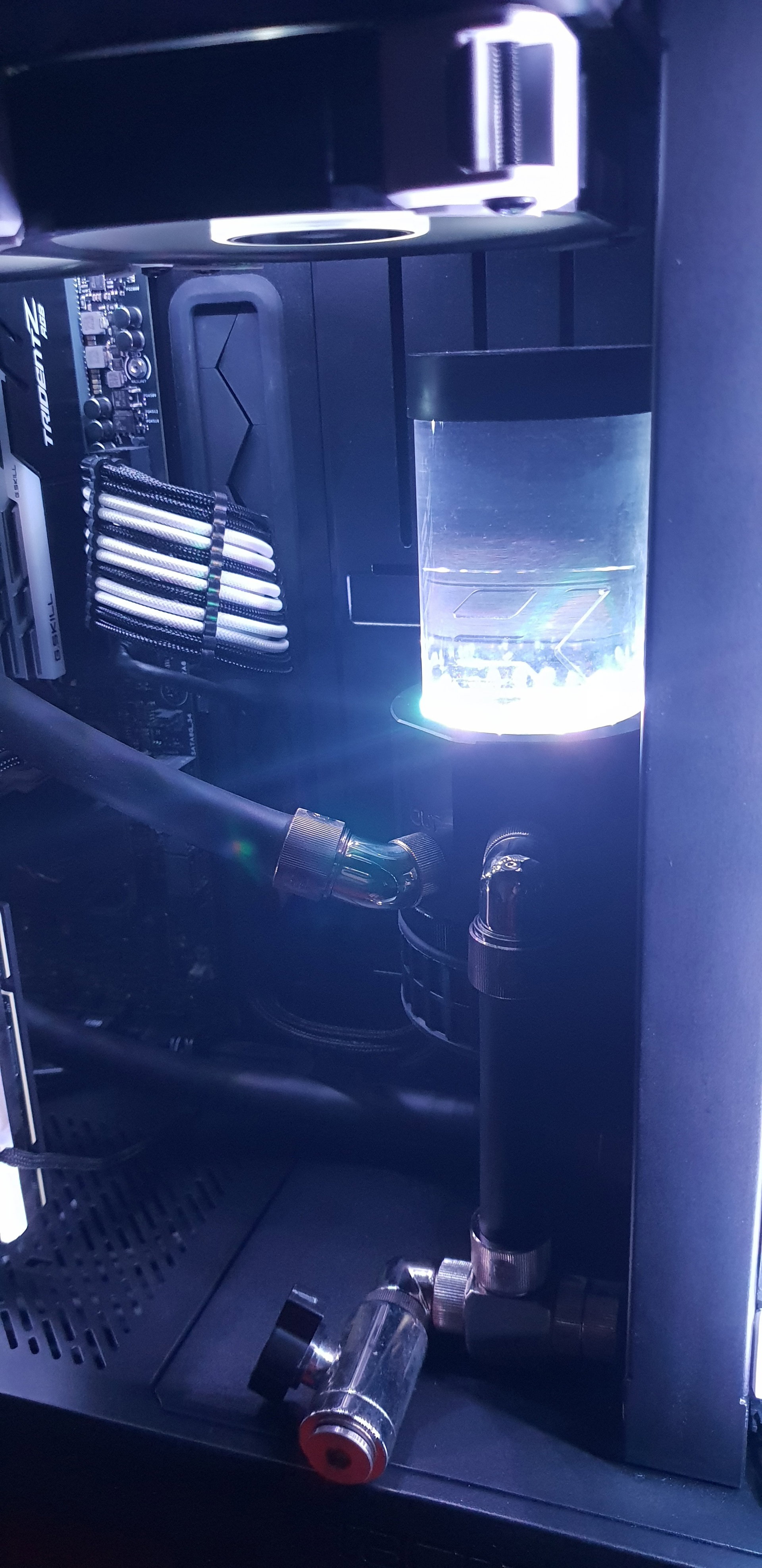 Simple beast » builds.gg