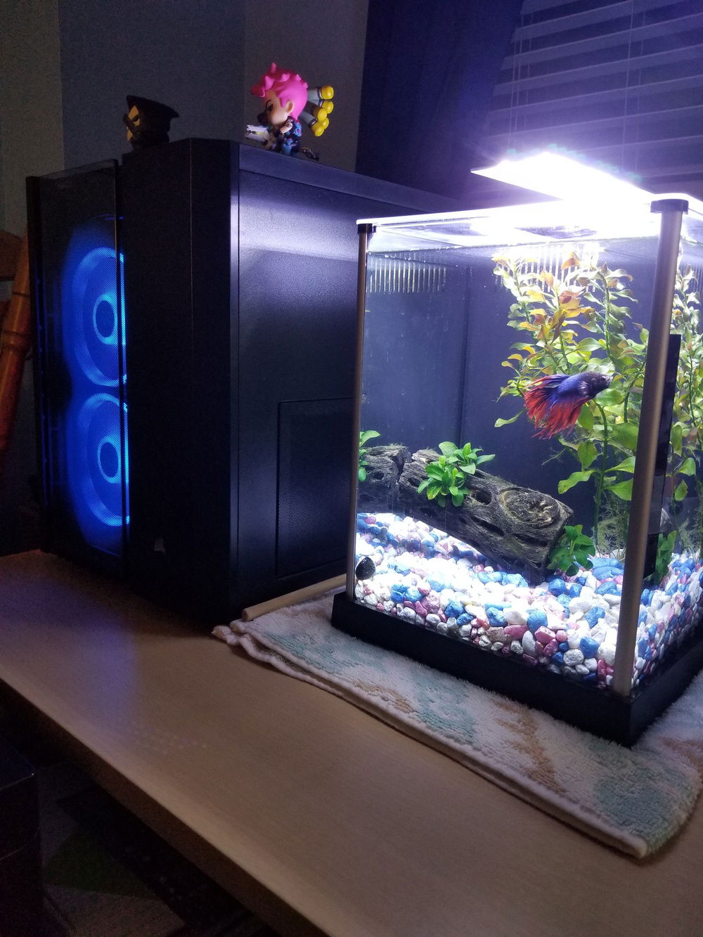 Bonus pic of my fish tank. Now Lúcio's hair is behind Zarya.