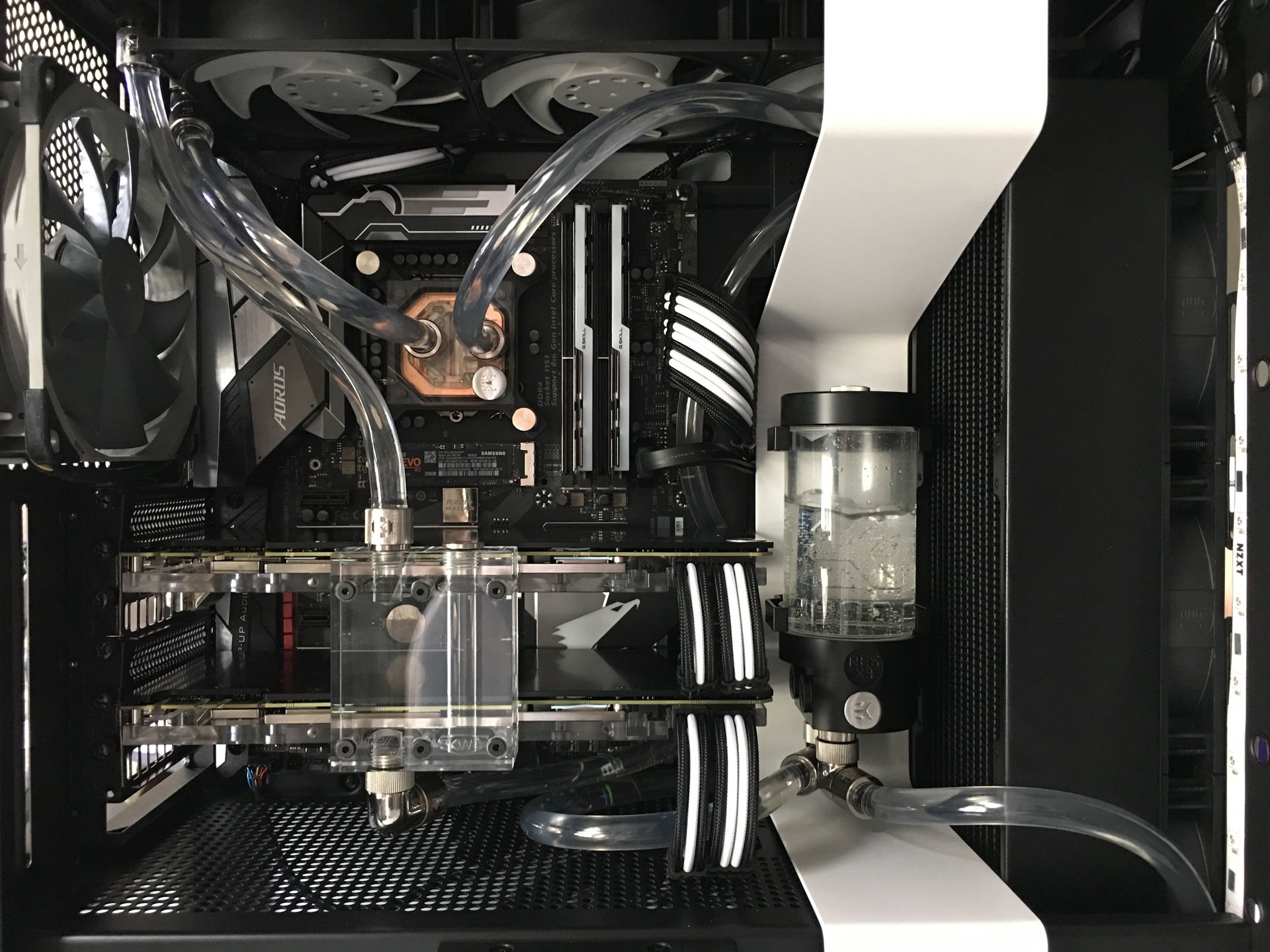 Big Rig Builds Big Rig B&W ยป builds.gg