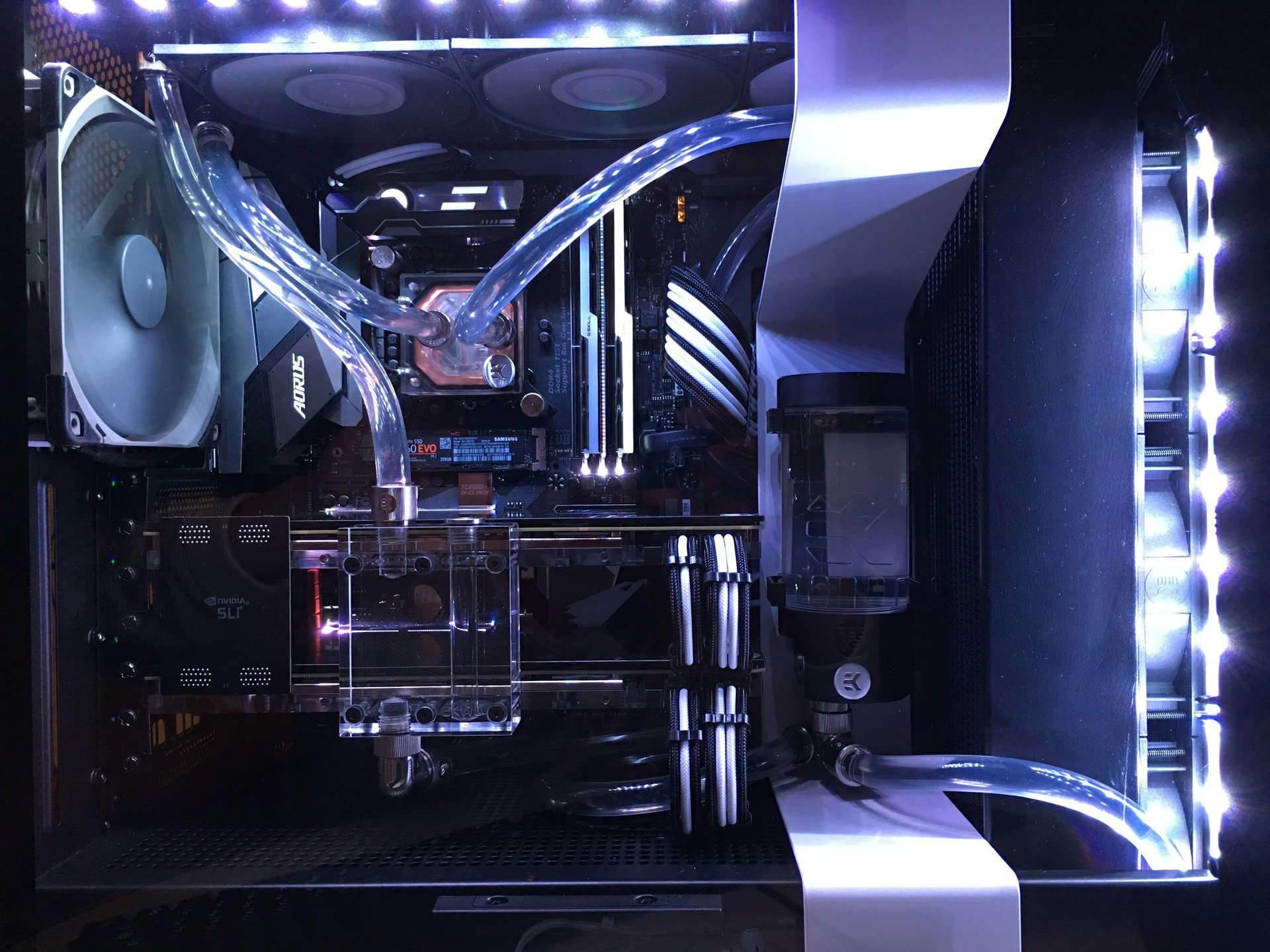 Big Rig Builds Big Rig B&W ยป builds.gg