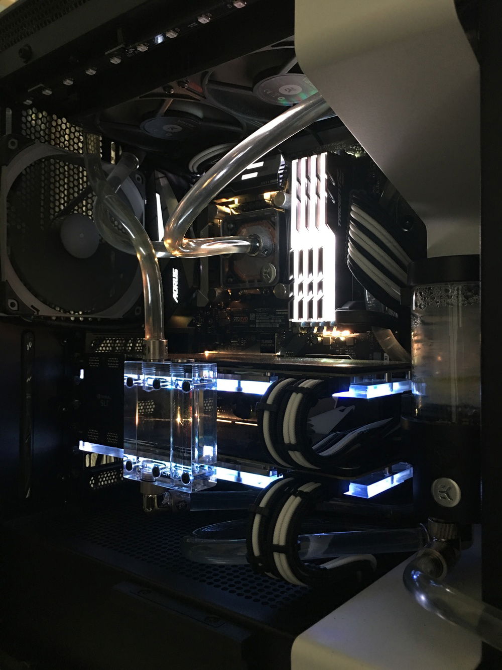 Side Angle Shot Close Up