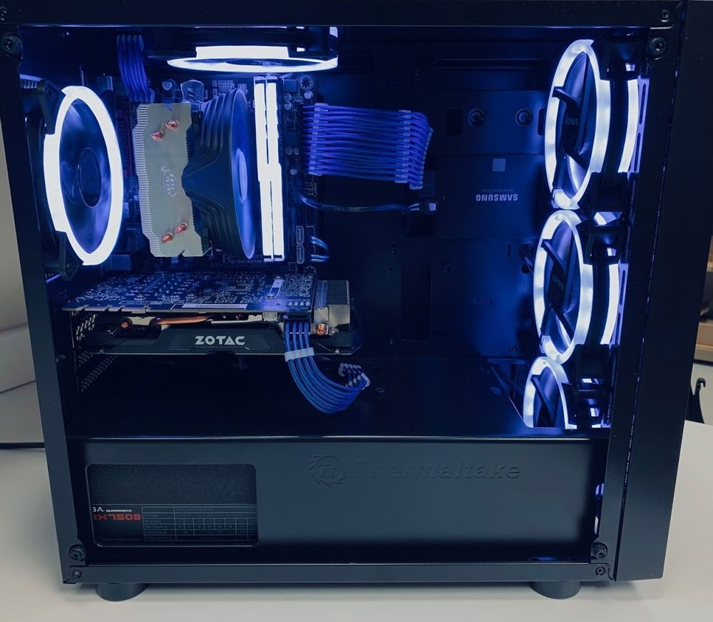 A clear look at the guts