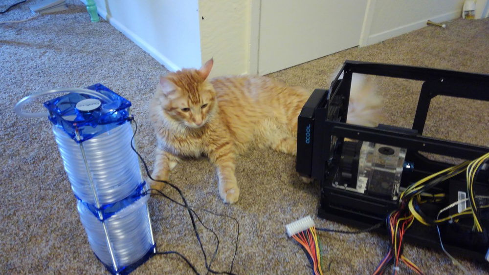 he likes boxes and action but hes terrible at IT