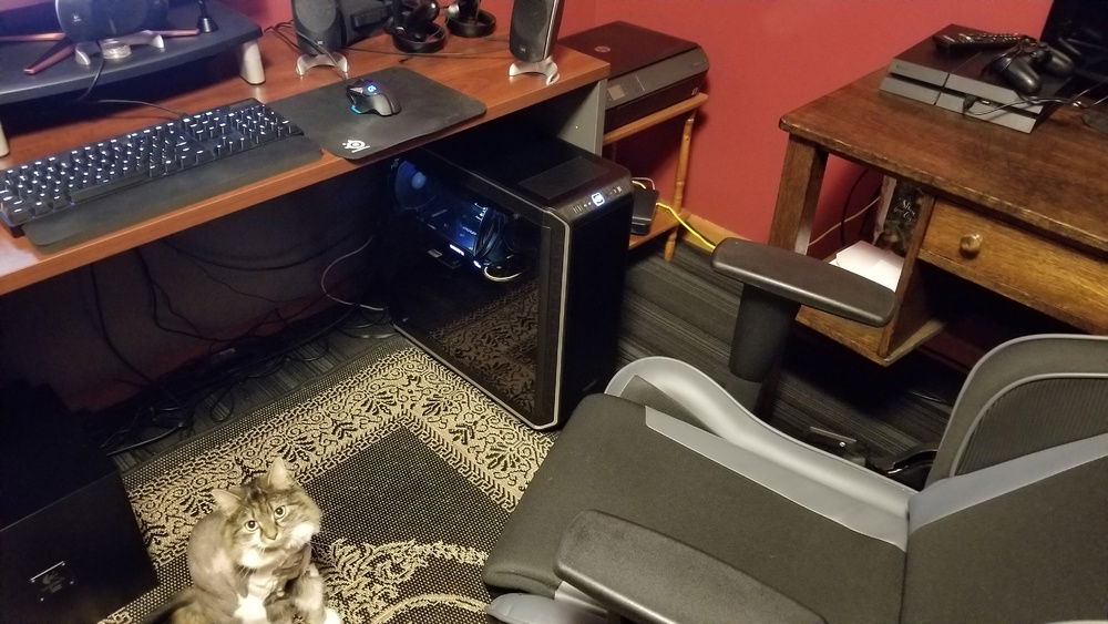 PC back in its place. Shaved cat for bonus points