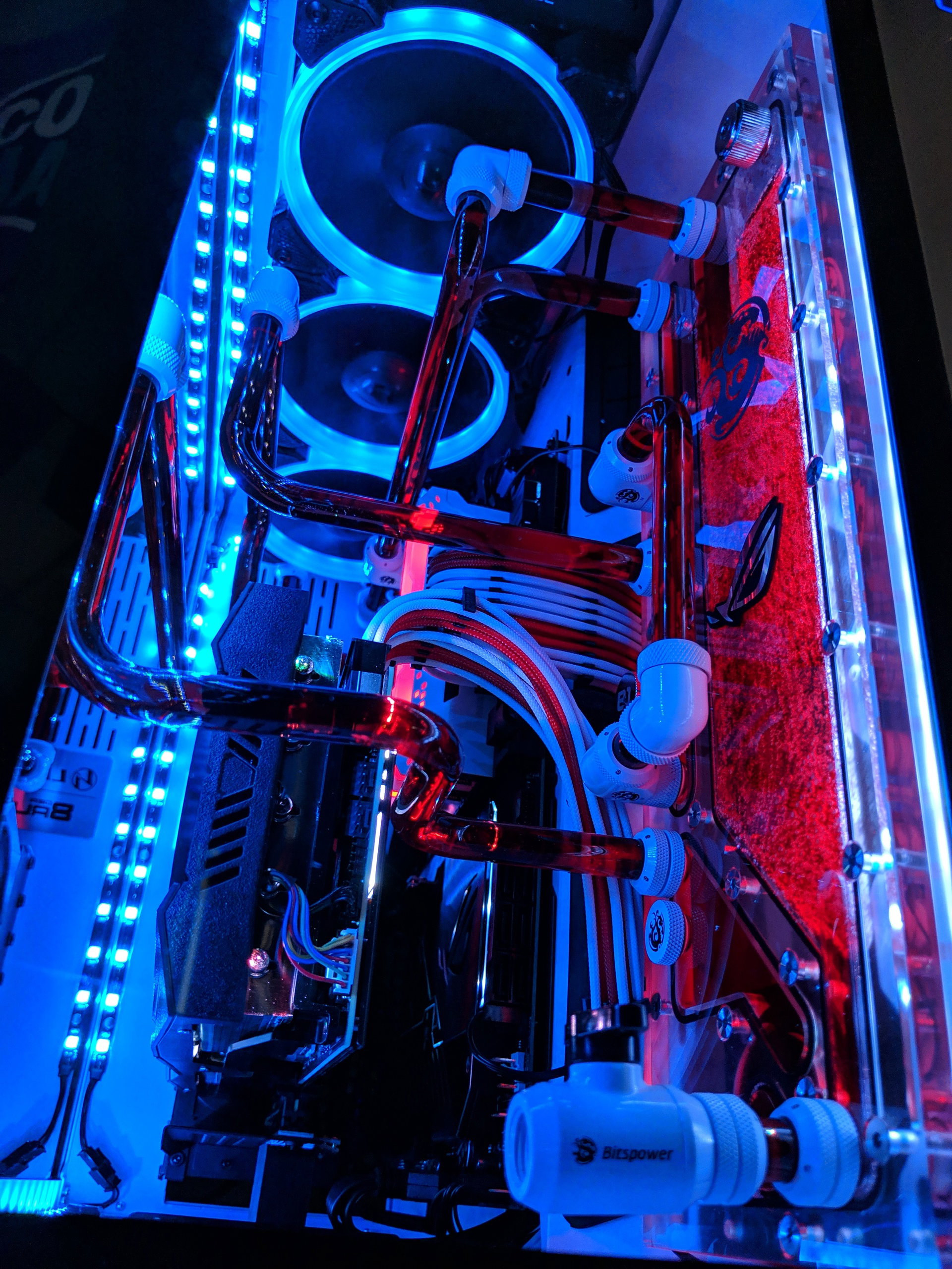 CERBERUS-01 » builds.gg