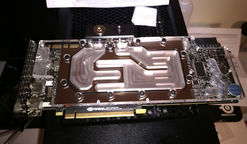 Beauty all dressed up