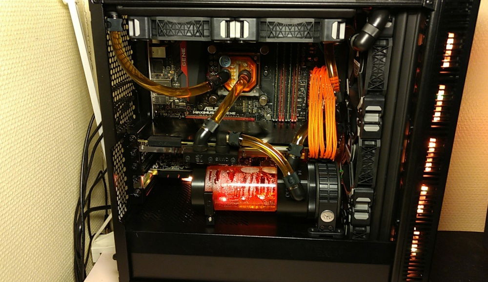 Aaaaand she has found her home!