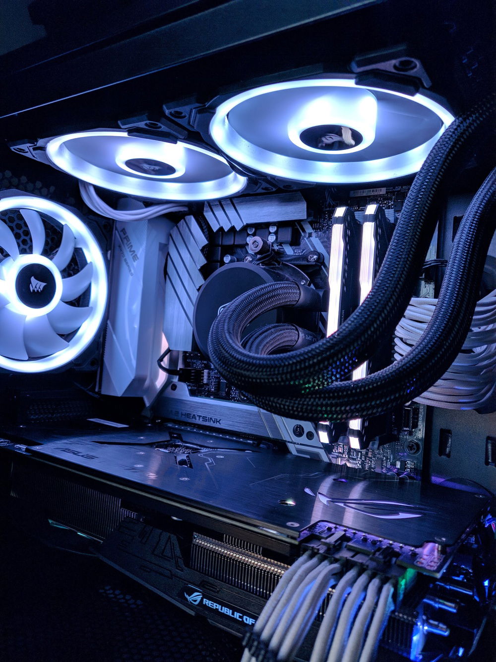 Black and White, no riser