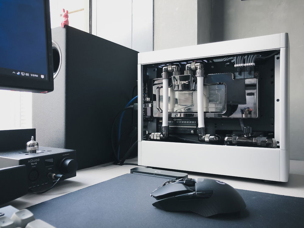 Mouse for scale. You get the idea.