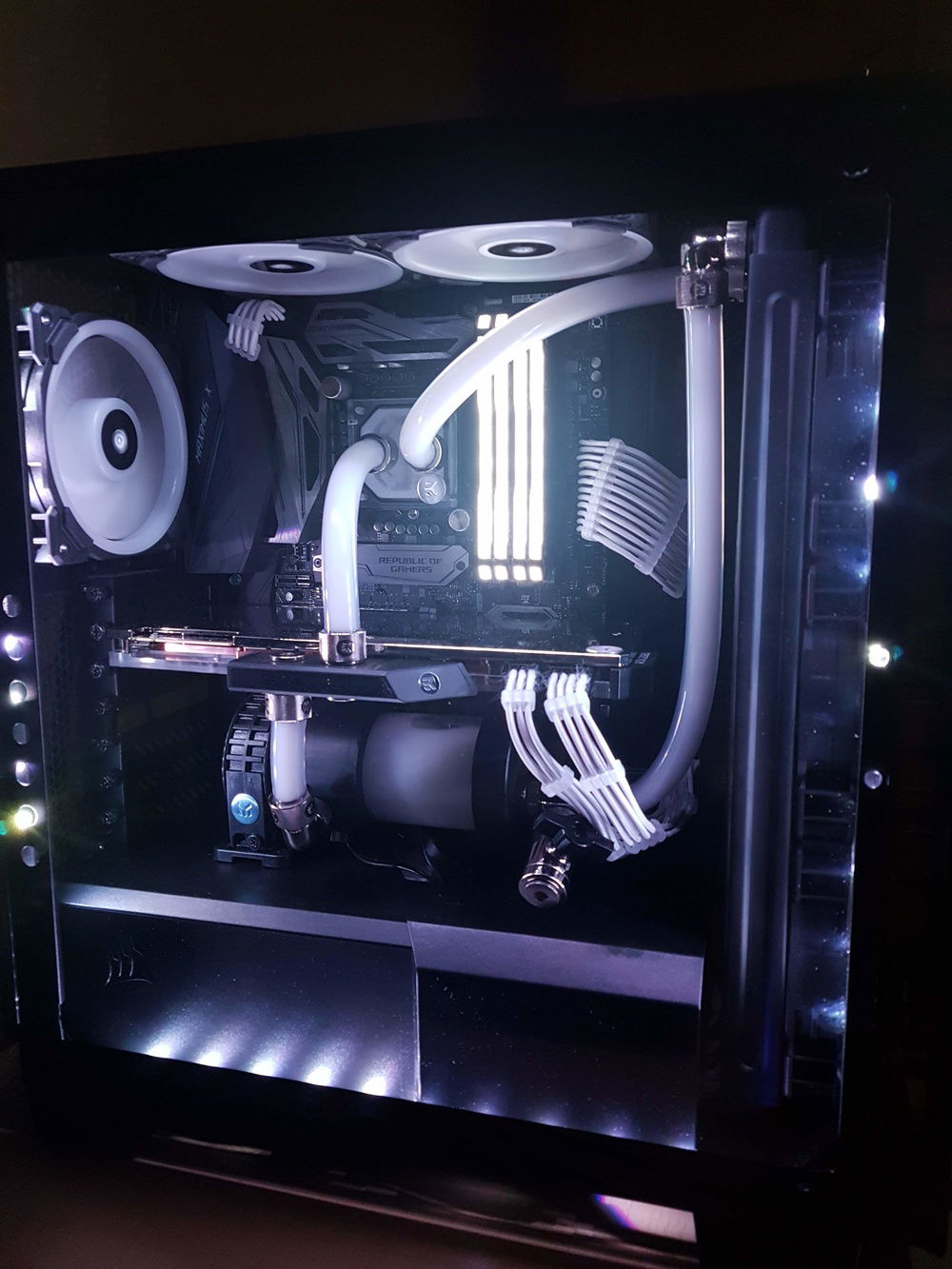 First custom water loop! » builds.gg