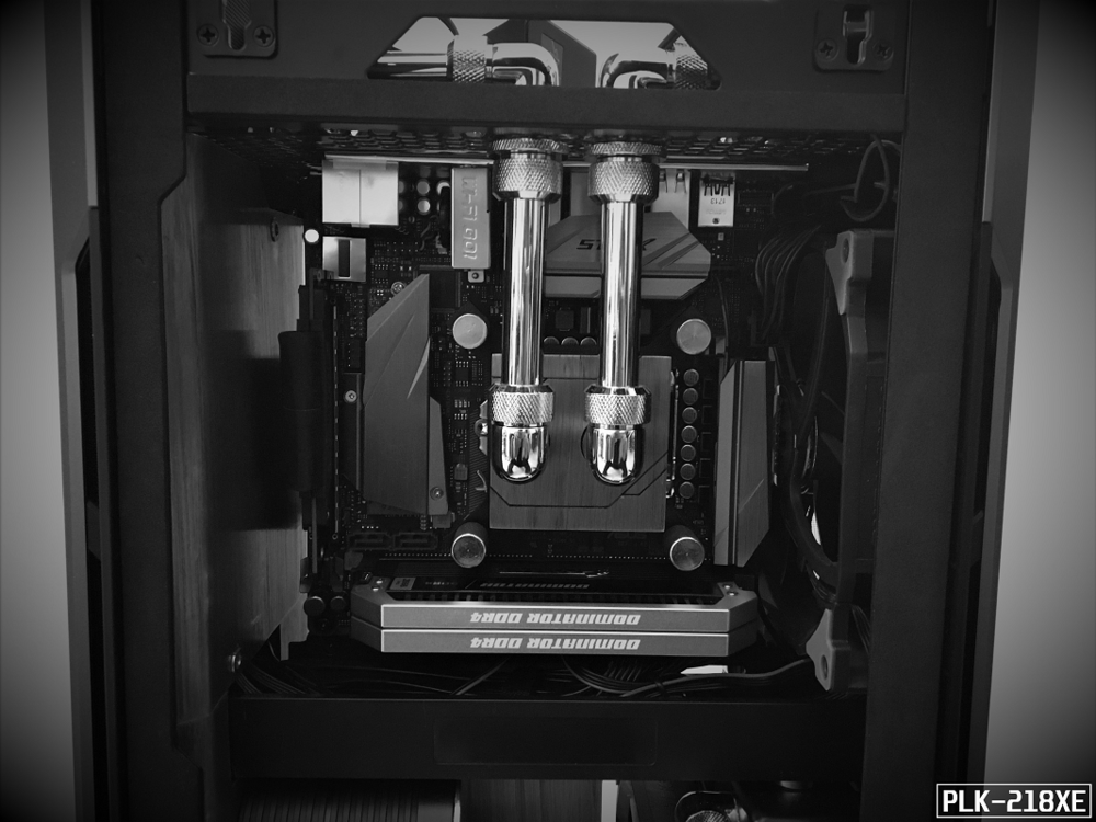 PLK-218XE - RAM installed