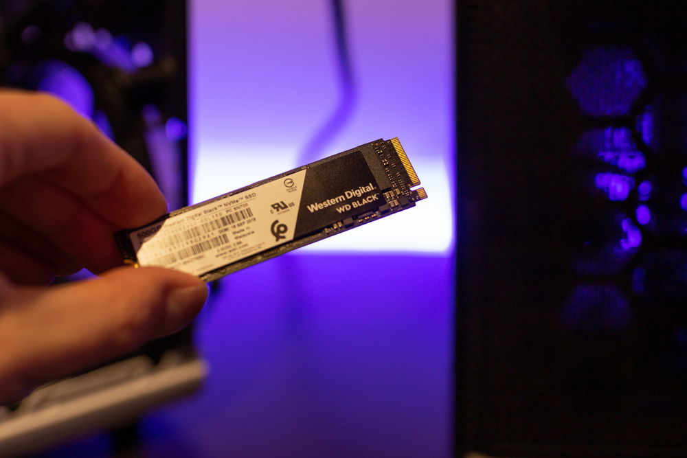 A real beast for the price, excellent for the server.