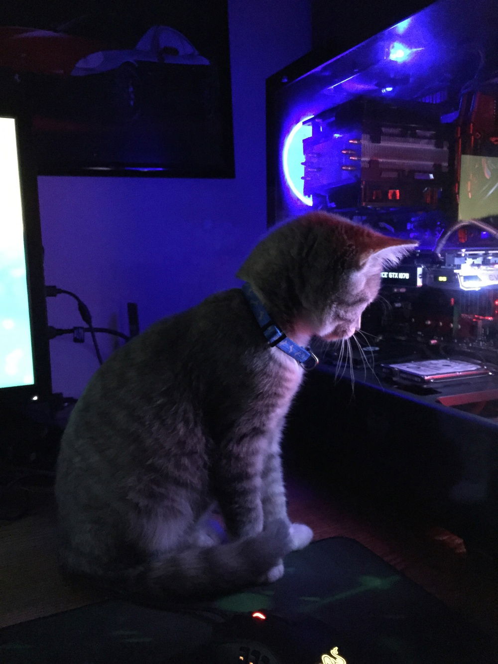 mean as it sounds hes the cheapest part of the build going for just as much as 20 bucks