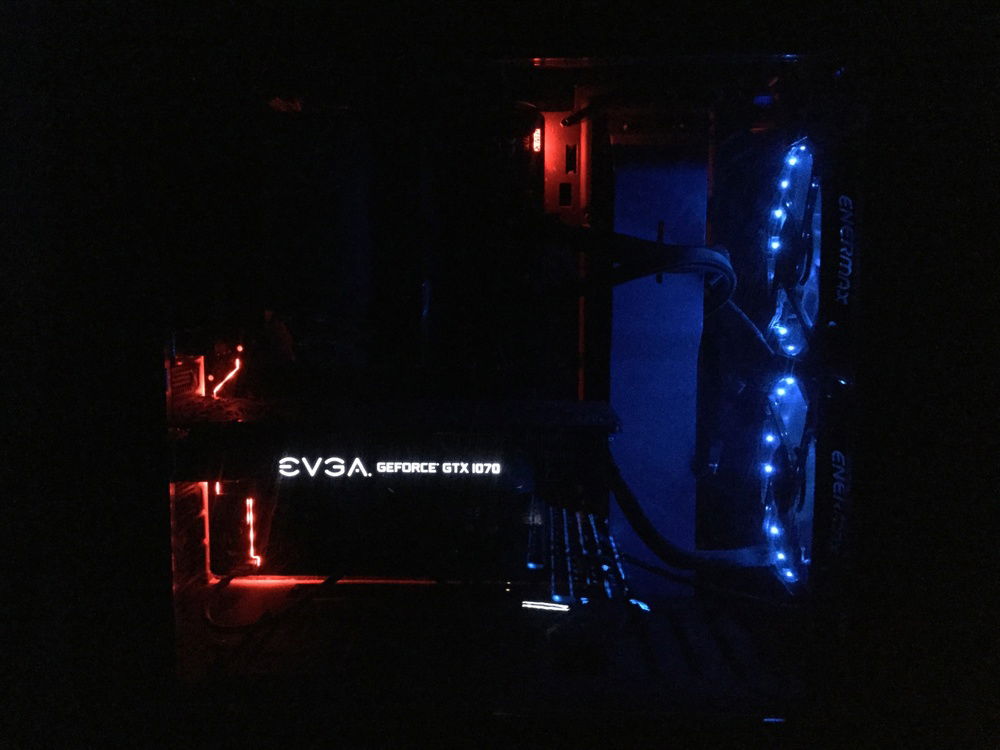 Nothing flashy. Just wanted some color to look at.