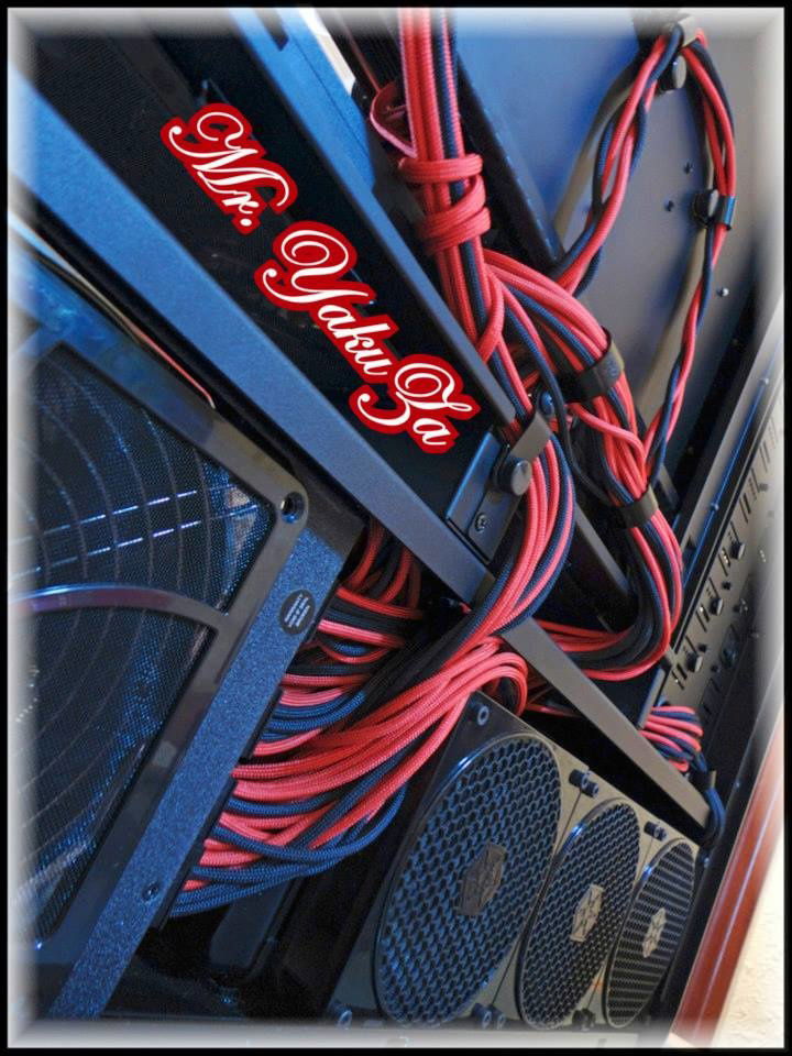 Paracords 550 Sleeving