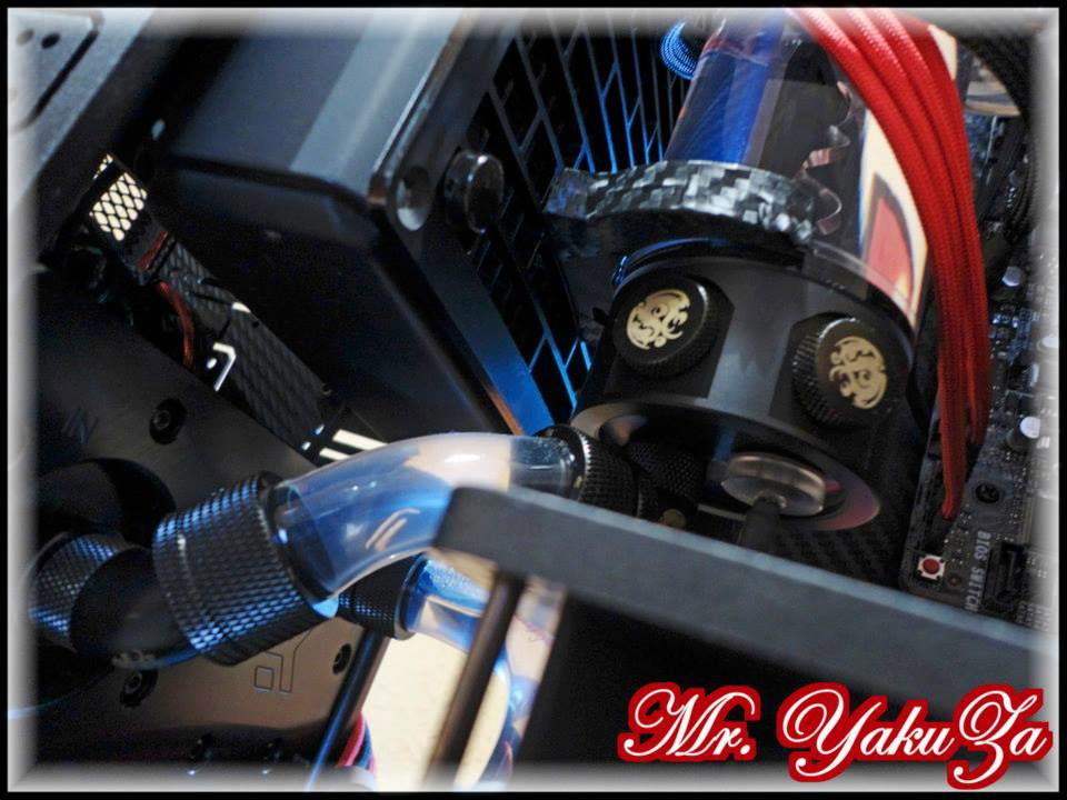 Dual pump, Custom Grill on Black Ice SR1 240