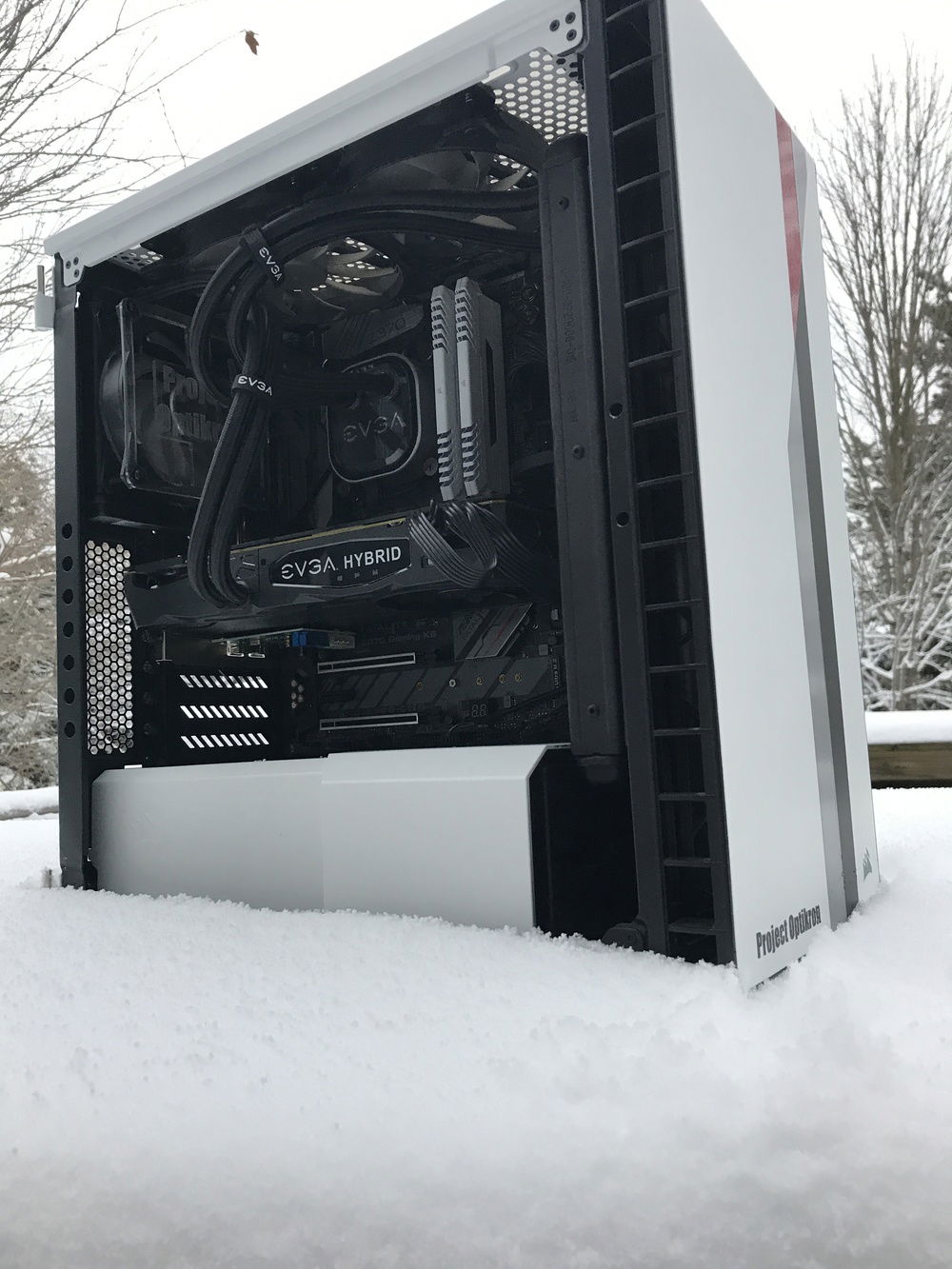 Annual snow photoshoot 2