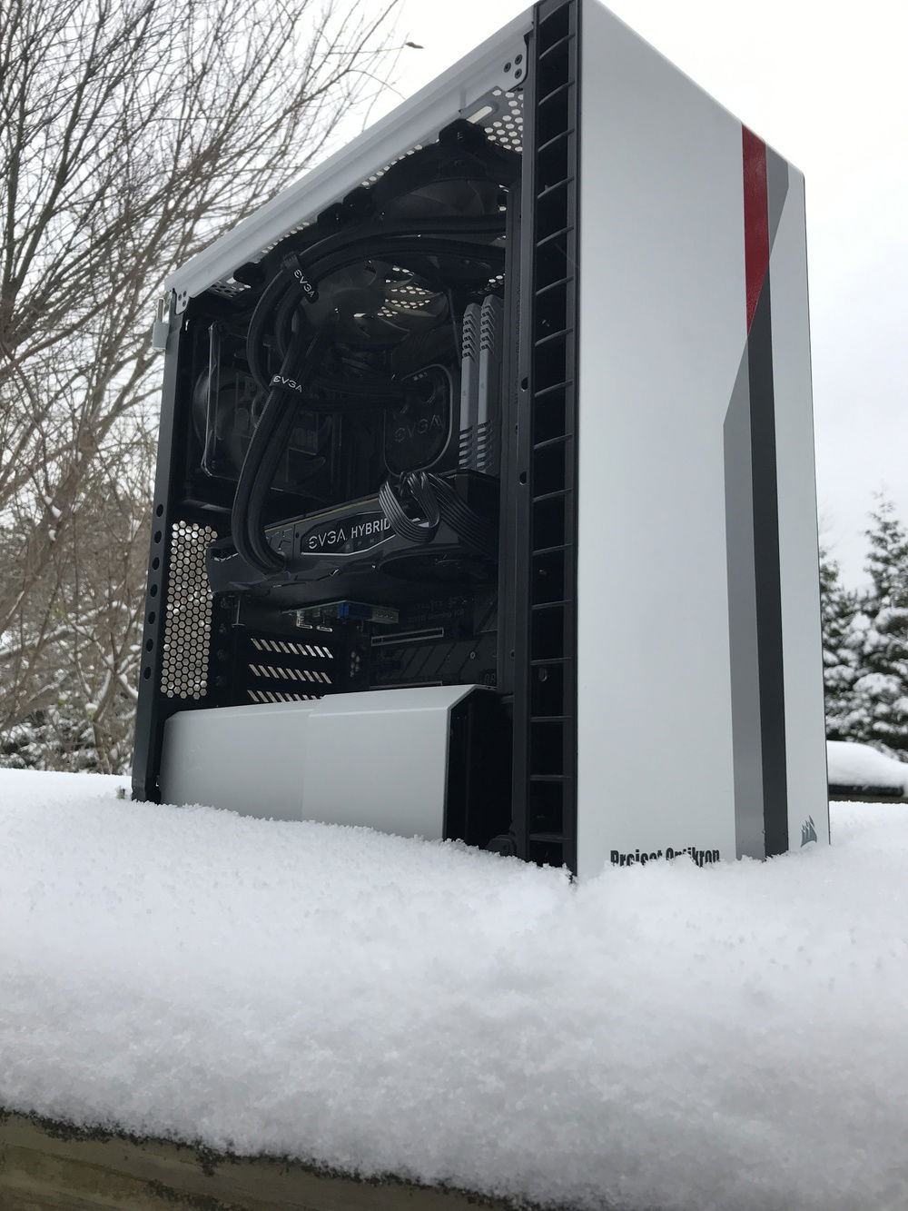 Annual snow photoshoot 2