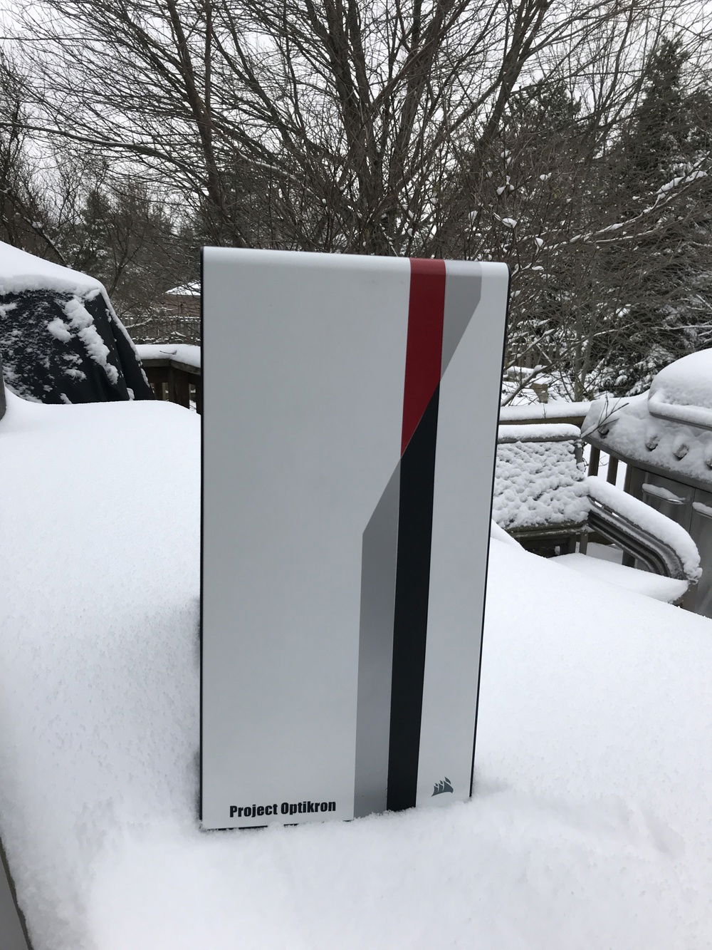 Annual snow photoshoot 2