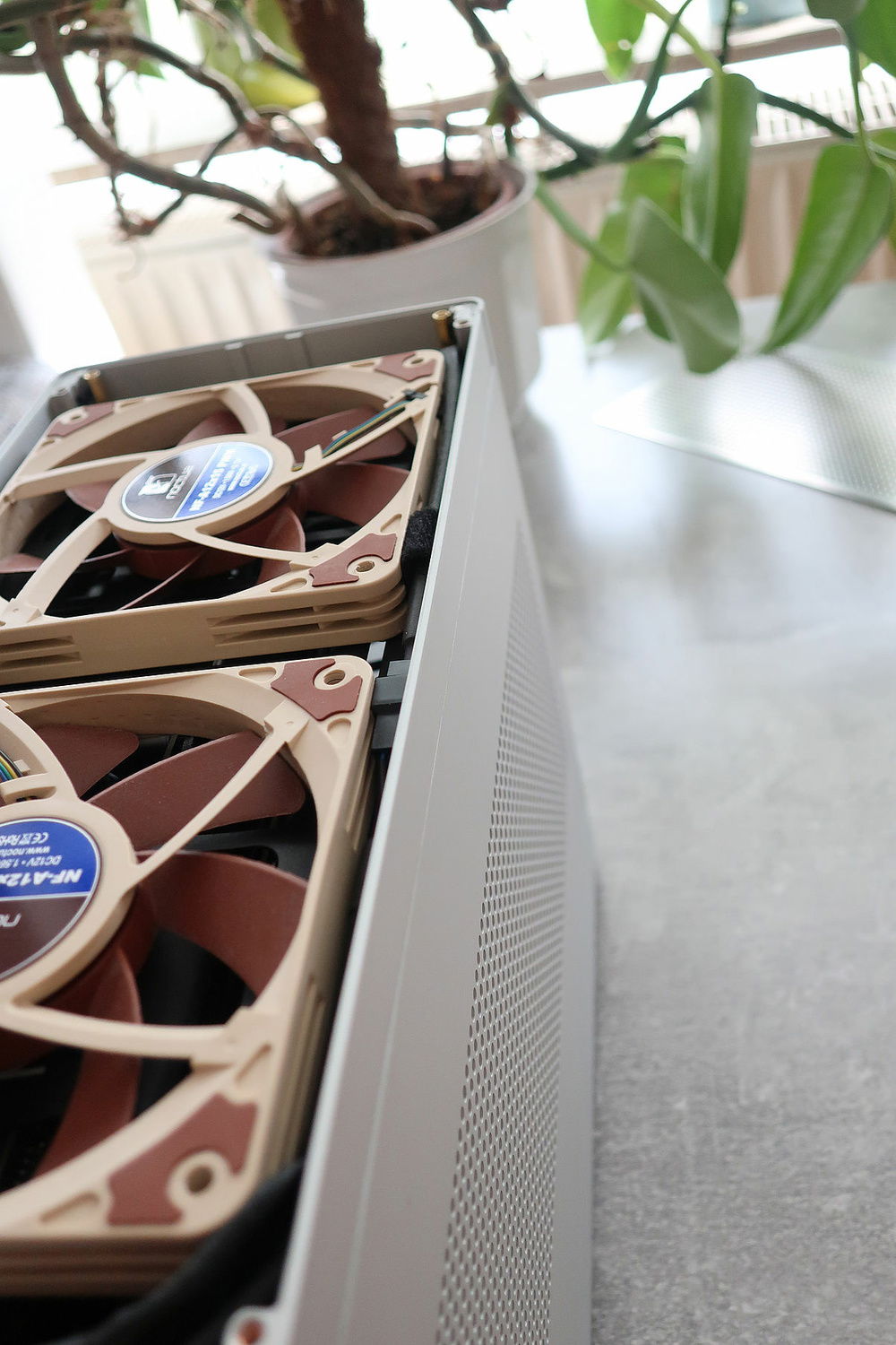 ...as well as on right side