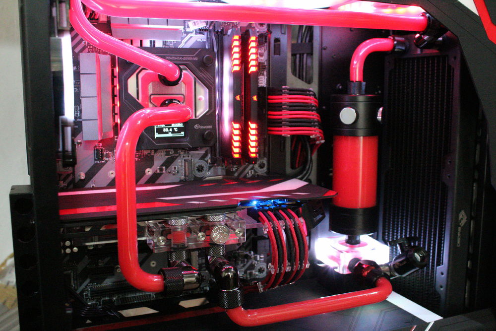 CODENAME: Unleash The BIG Dawg