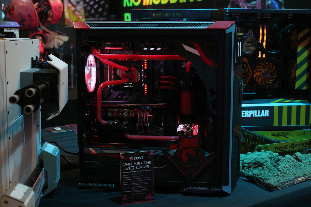 CODENAME: Unleash The BIG Dawg