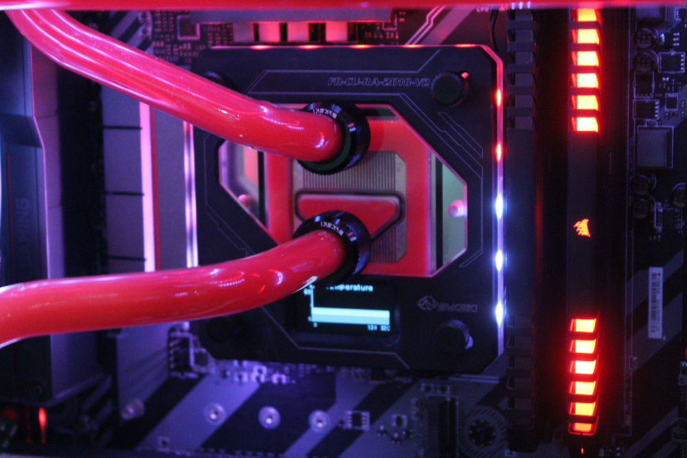 CODENAME: Unleash The BIG Dawg