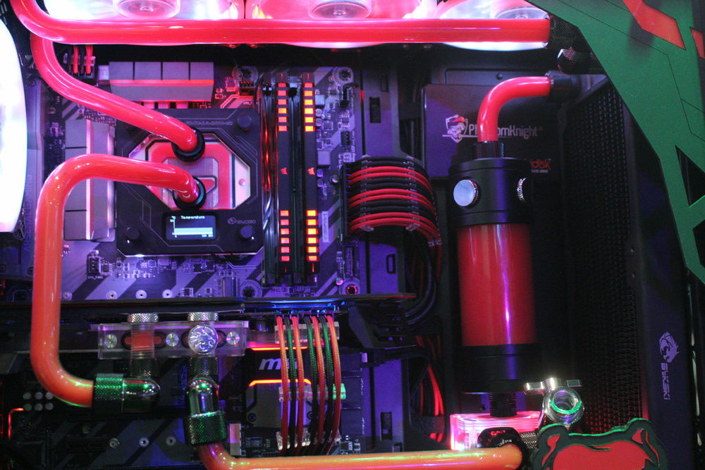 CODENAME: Unleash The BIG Dawg