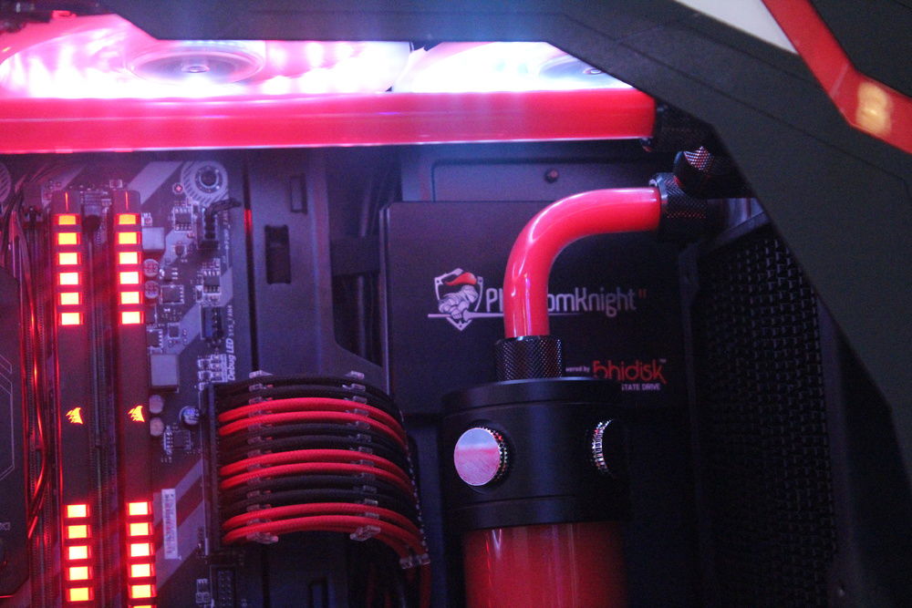 CODENAME: Unleash The BIG Dawg